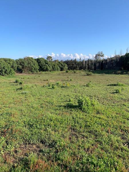 Finca Dos Vientos Тарифа Экстерьер фото